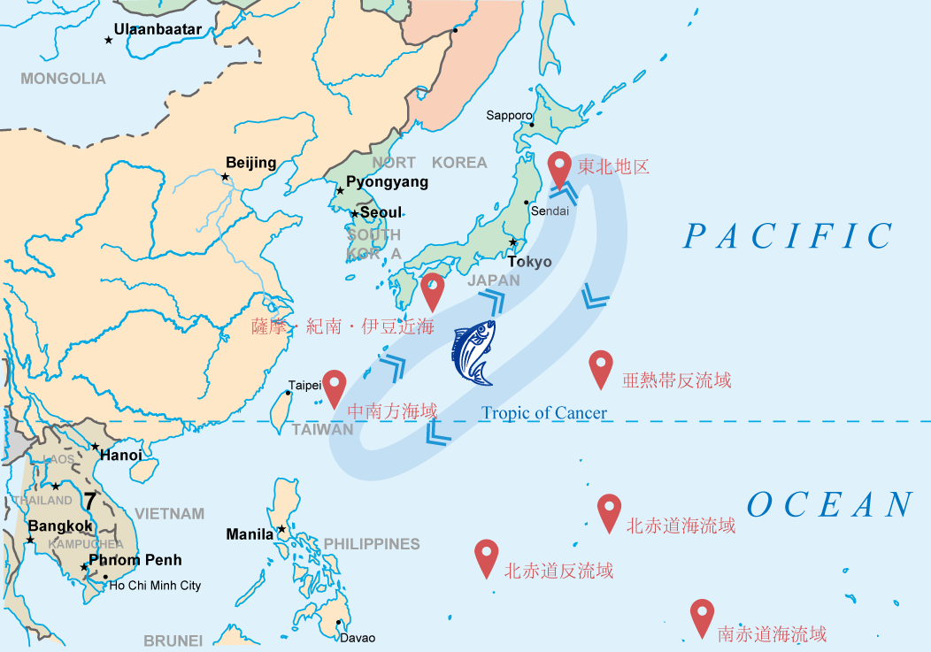 Standard Post with Image