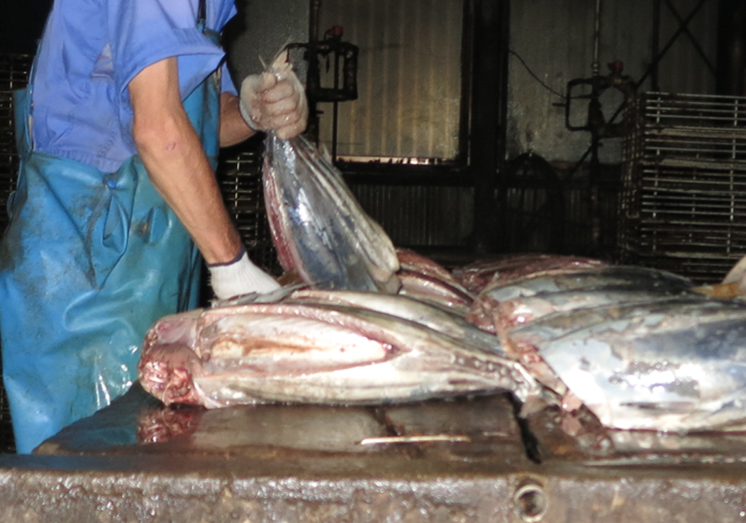 Standard Post with Image